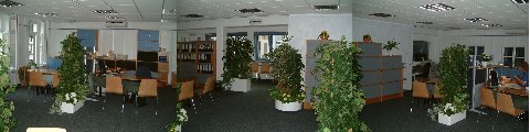 Panoramaaufnahme des Bürgerbüros Das Bild zeigt die Schreibtische, Aktenschränke und Pflanzen im Bürgerbüro