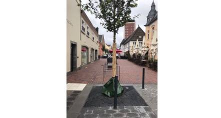 Ein Baum in der Fußgängerzohne in Rheinberg
