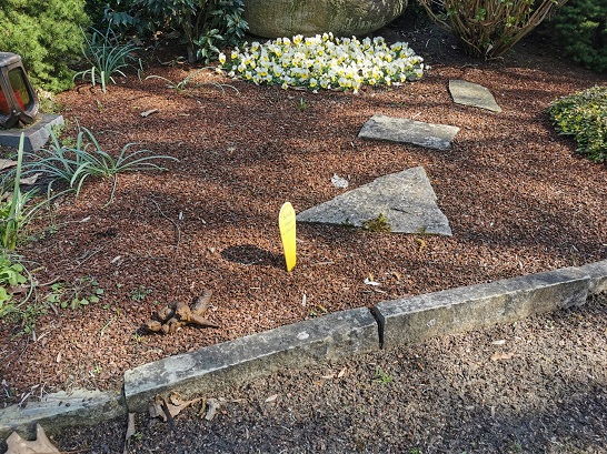 Ein Grab mit Tritplatten und mehreren weißen Blumen