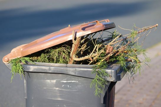Eine Volle Biomülltonne