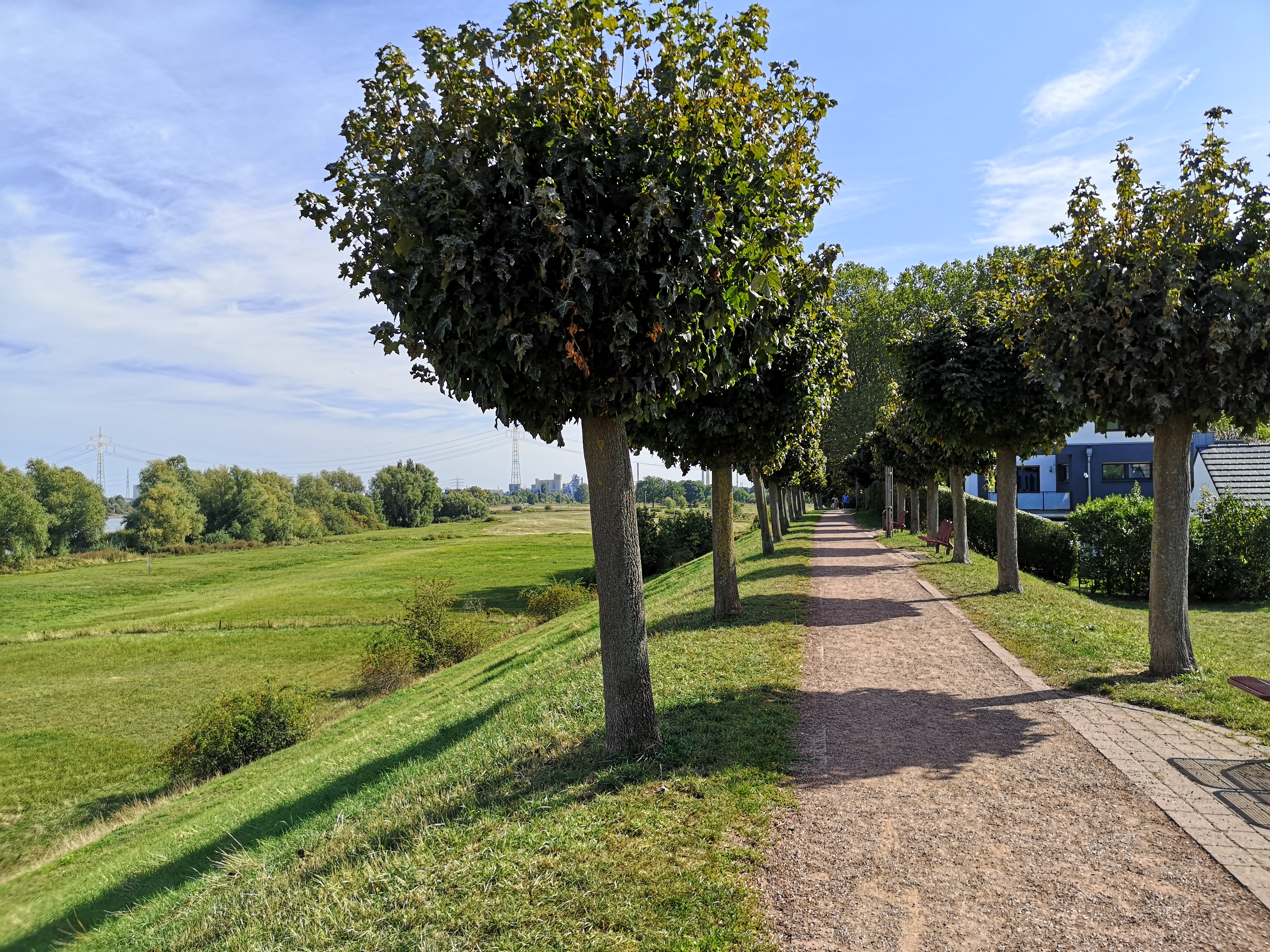 Wanderweg auf dem Deich in Orsoy